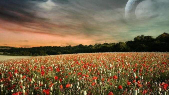 Firefox 浏览器是否还有可能浴火重生?